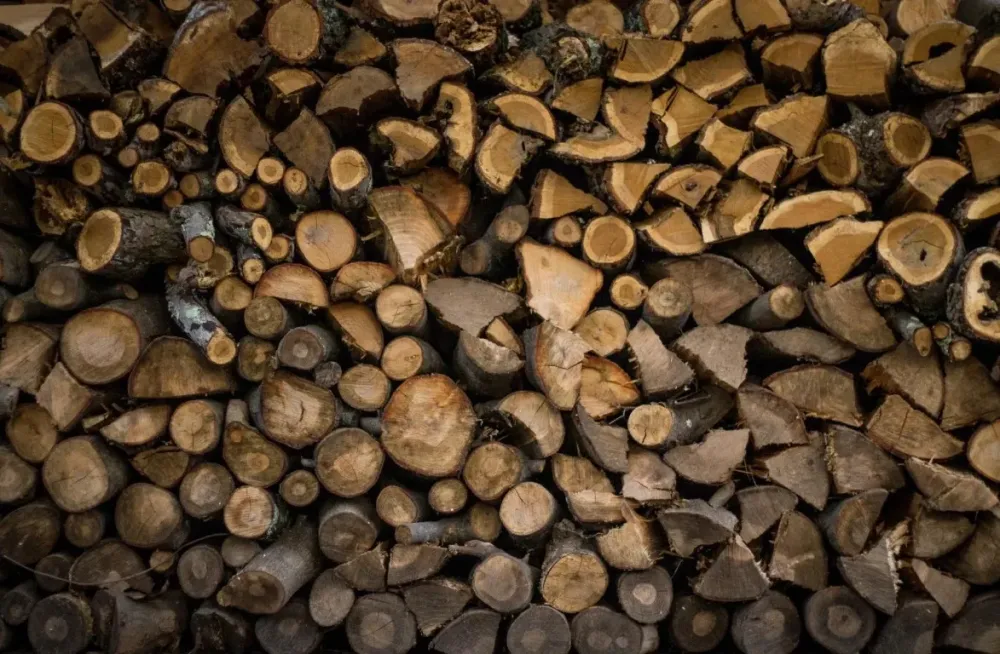 Livraison bois sec à Saint-Etienne de Saint-Geoirs